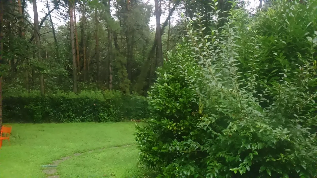 Guest house L'Oasi Nel Bosco Hotel Somma Lombardo Italy